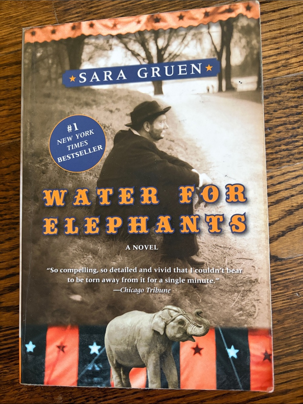 Sara Gruen "Water for Elephants" Paperback - Brown, Orange, Blue Cover